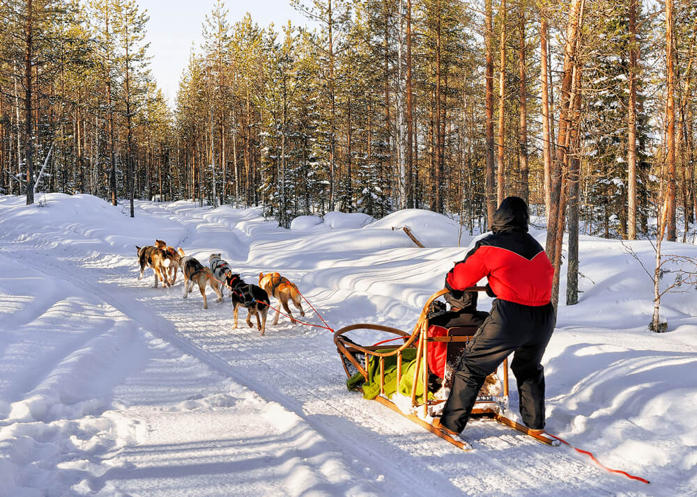 Trineo típico en Laponia en Finlandia