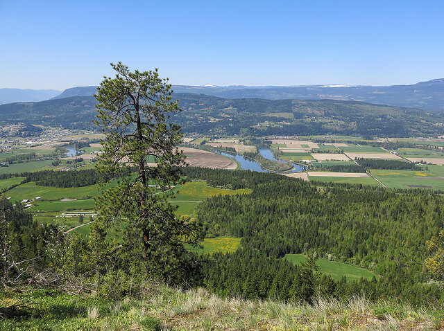 Paisaje de Enderby