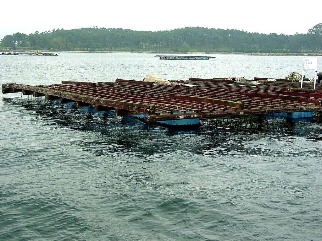 Batea en la ría de Vigo
