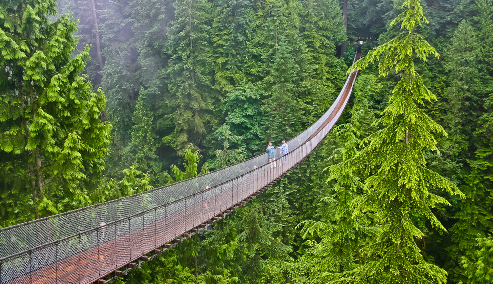 Capilano suspension Bridge