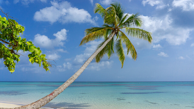Cayo Levantado en Samaná