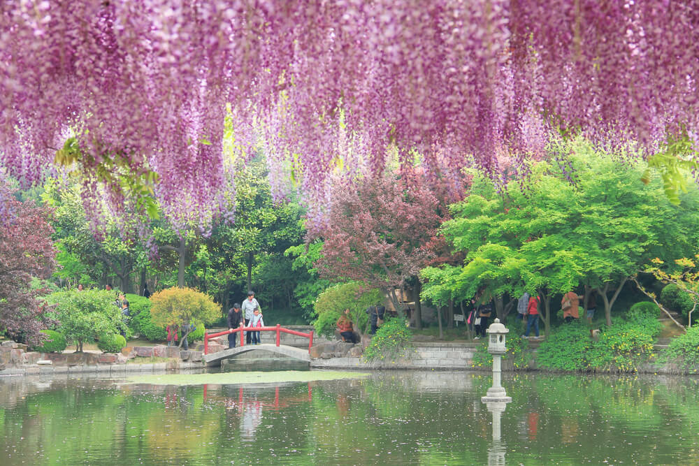 Jiading Wistaria Garden en Shanghái