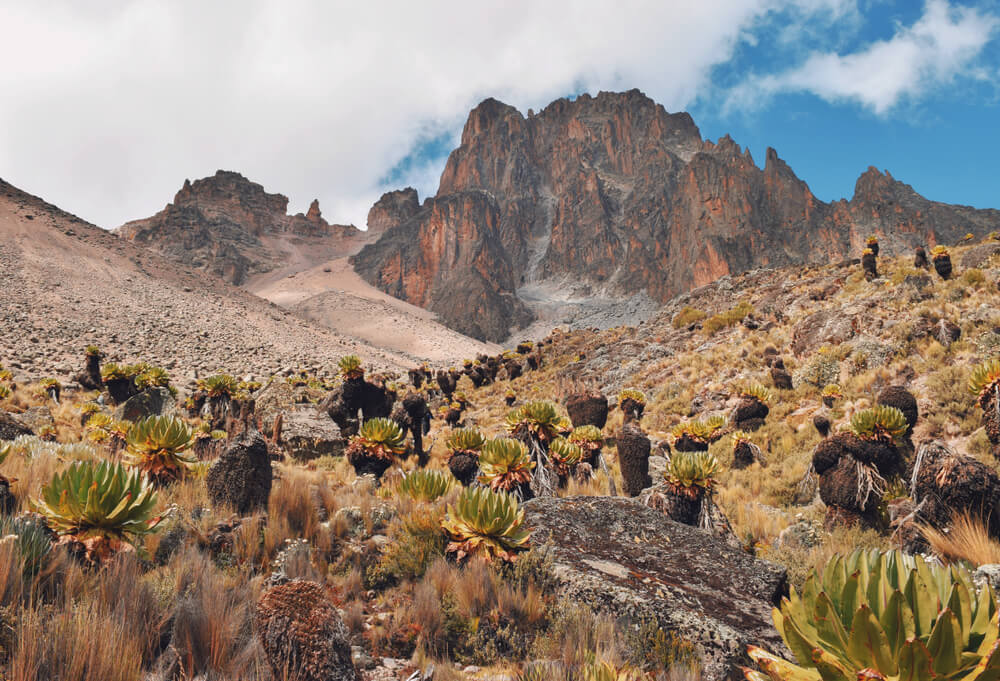Monte Kenia