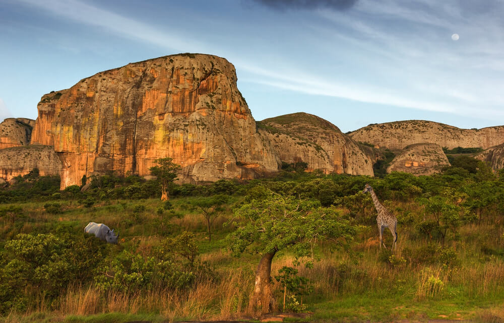 Fauna en la Reserva de Milando cerca de Malanje