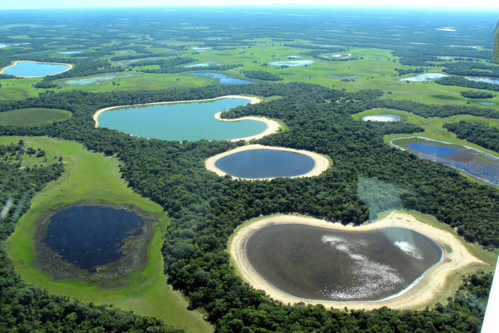 Paisaje de Pantanal, una de las rutas de Sudamérica