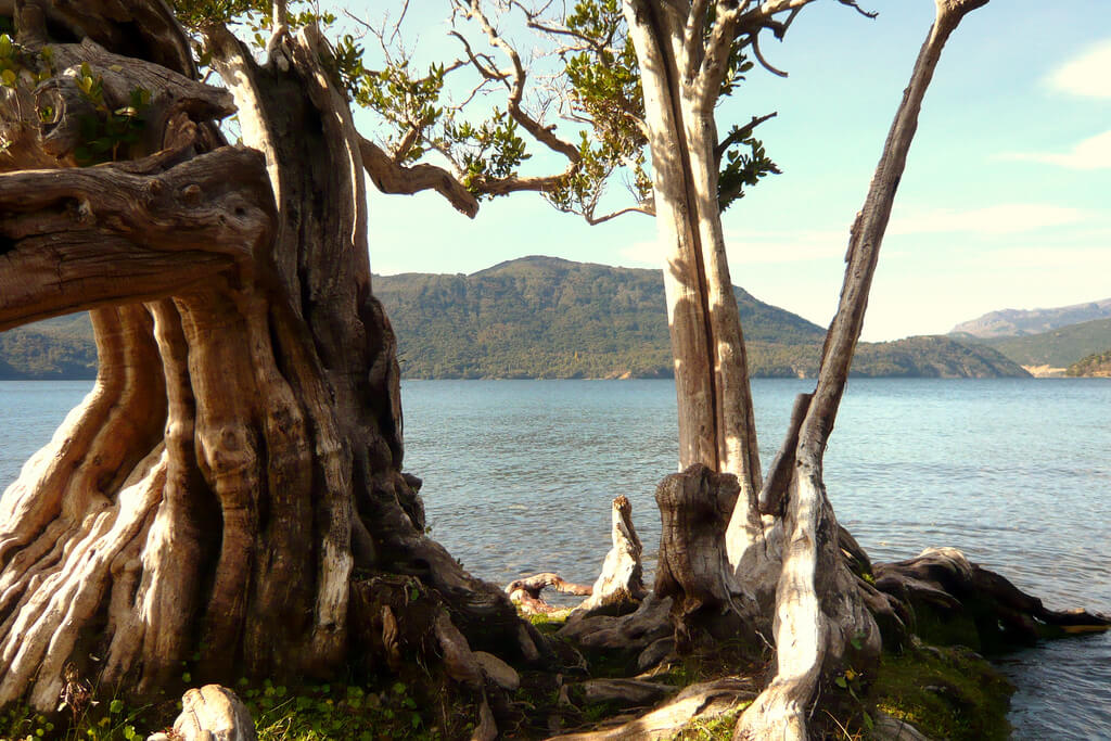 Vista del lago en Quila Quina