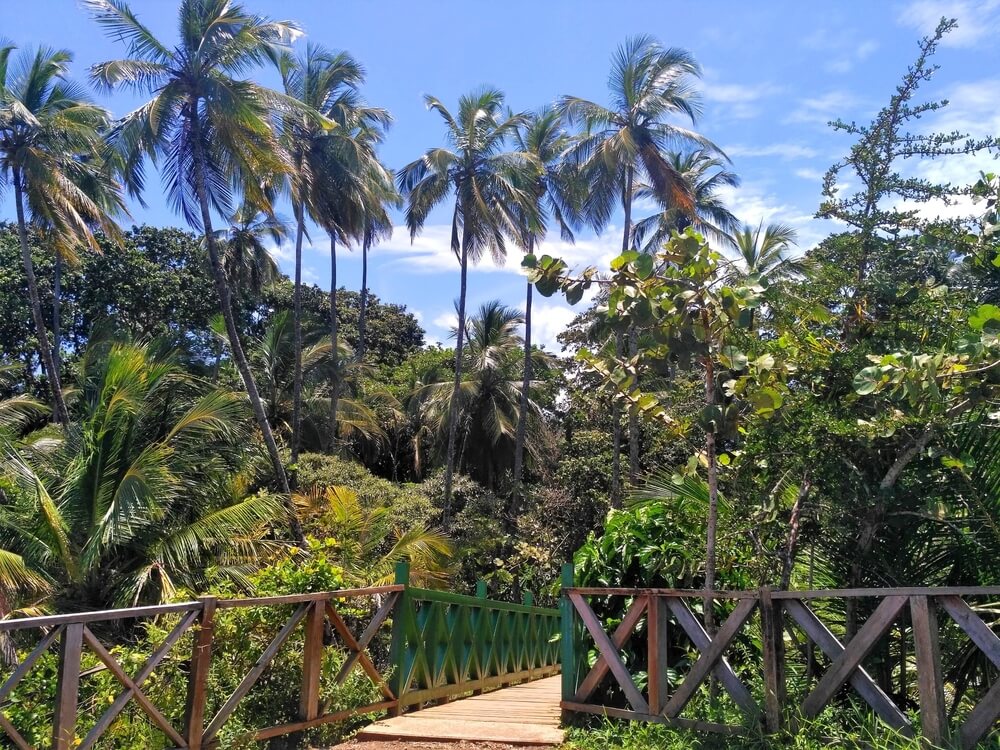 Interior del Refugio Nacional de Vida Silvestre de Gandoca