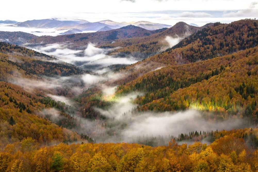 Vista de la Selva de Irati en España