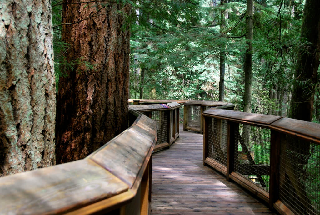 Treetops en Capilano Suspension Bridge