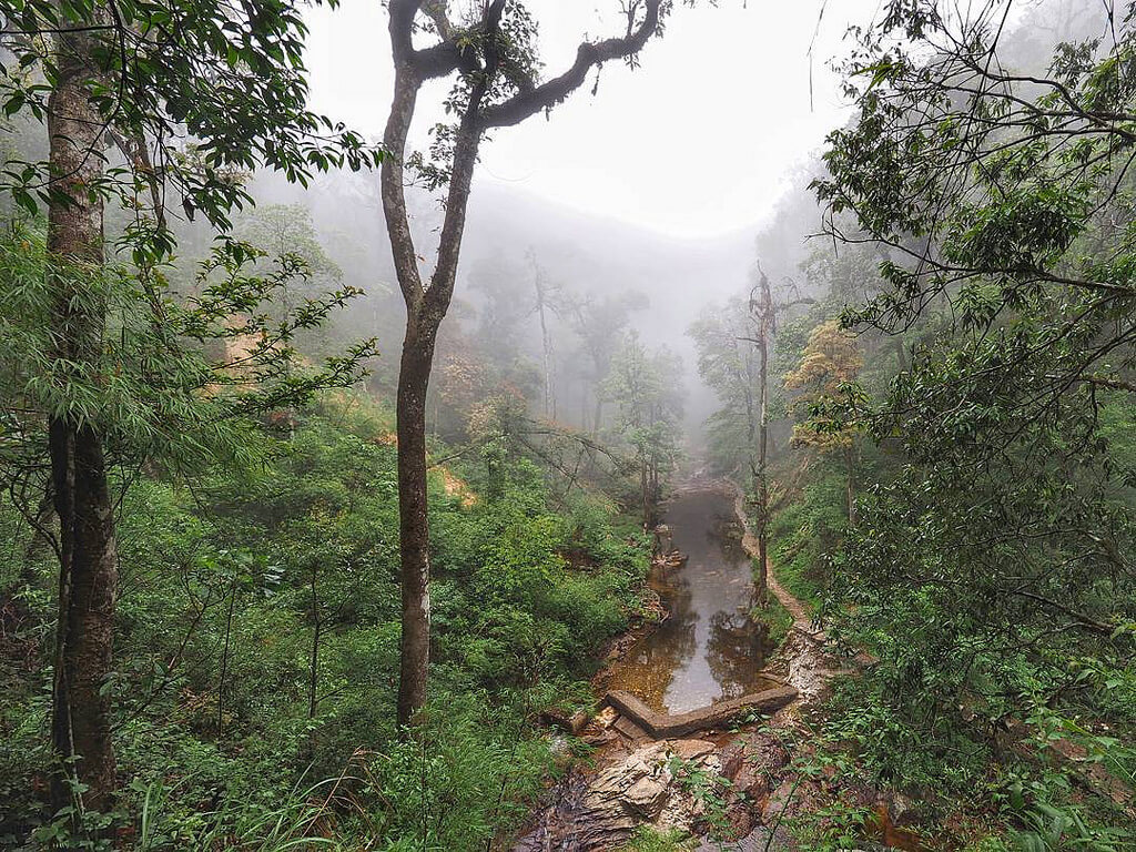 Parque Nacional Hoang Lien