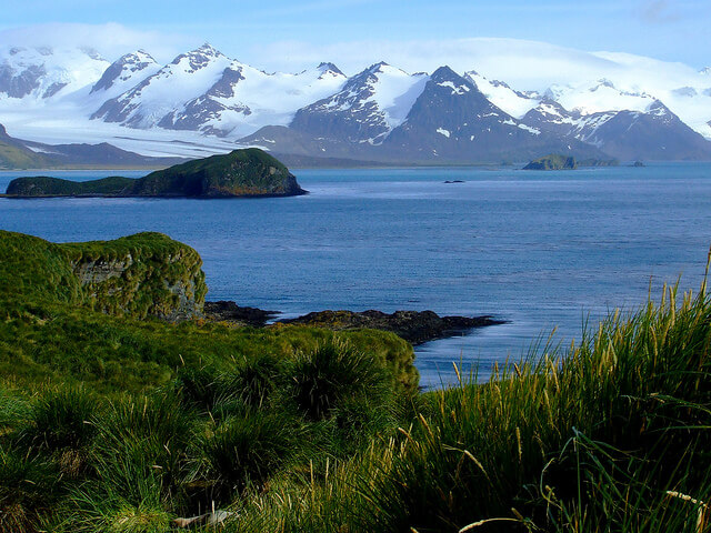 Paisaje de la isla Prion en Georgia del Sur