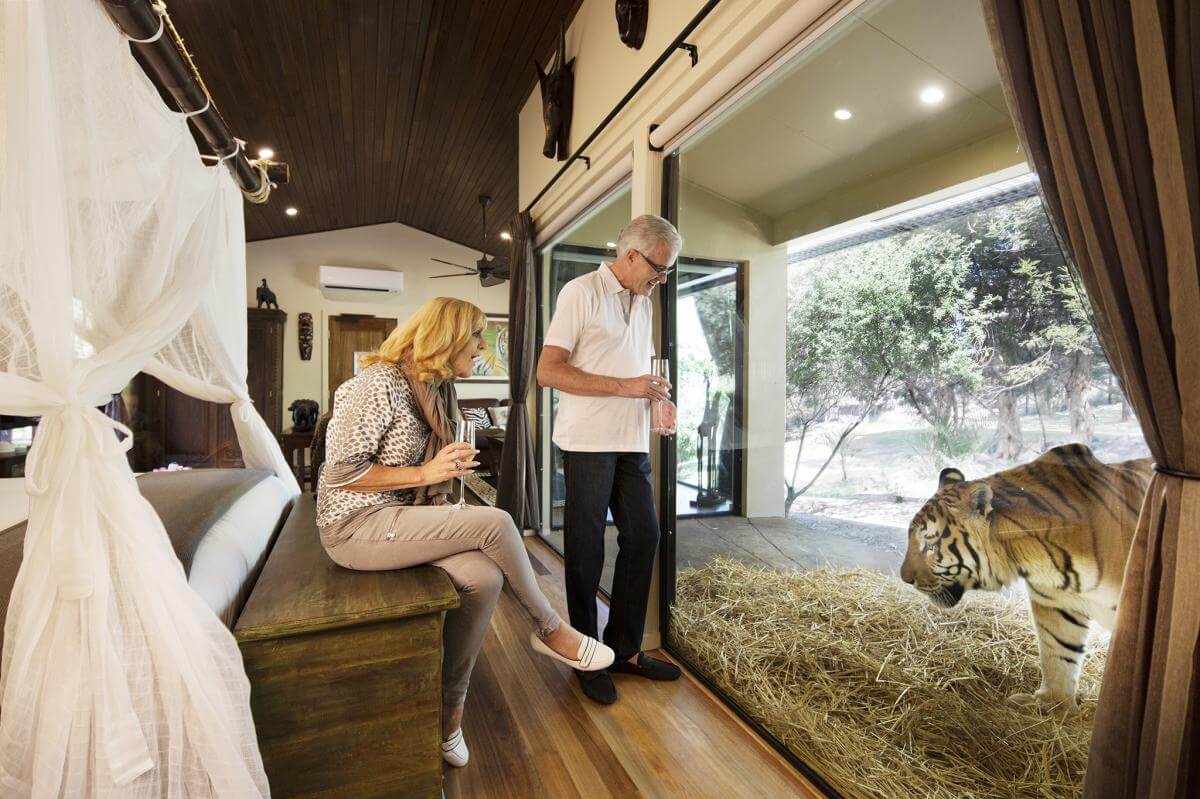 Jamala Wildlife Lodge, uno de los lugares más extraños donde dormir