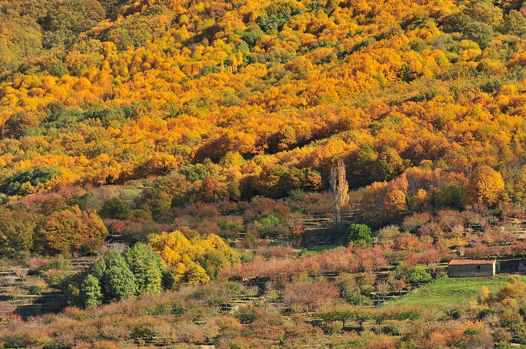 Valle del Jerte en otoño