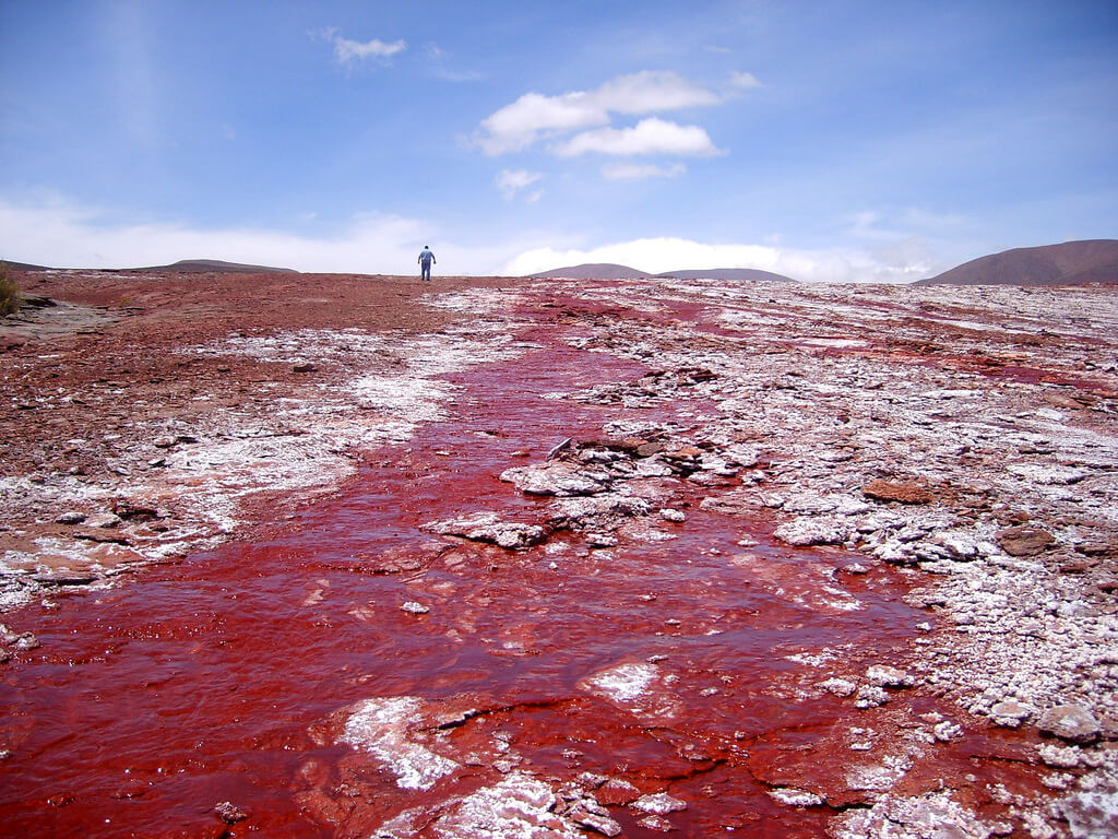 Laguna Roja en el norte de Chile