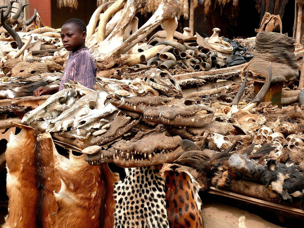 Mercado de fetiches de Lomé
