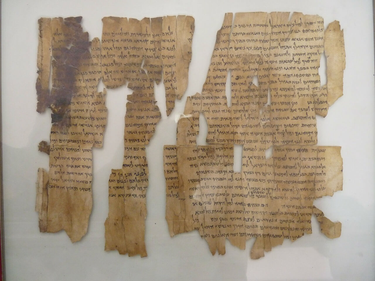 Fondos del Museo de Arqueología