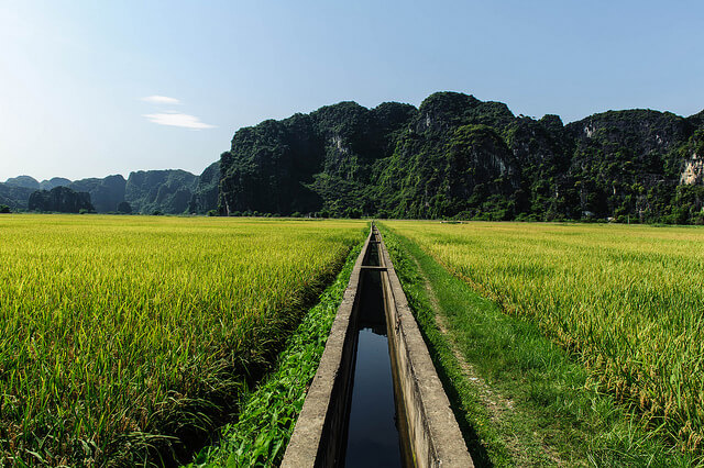Paisaje en Nih Binh en la campiña vietnamita