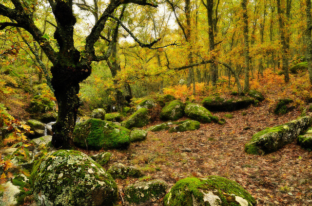 Paisaje del Valle del Jerte