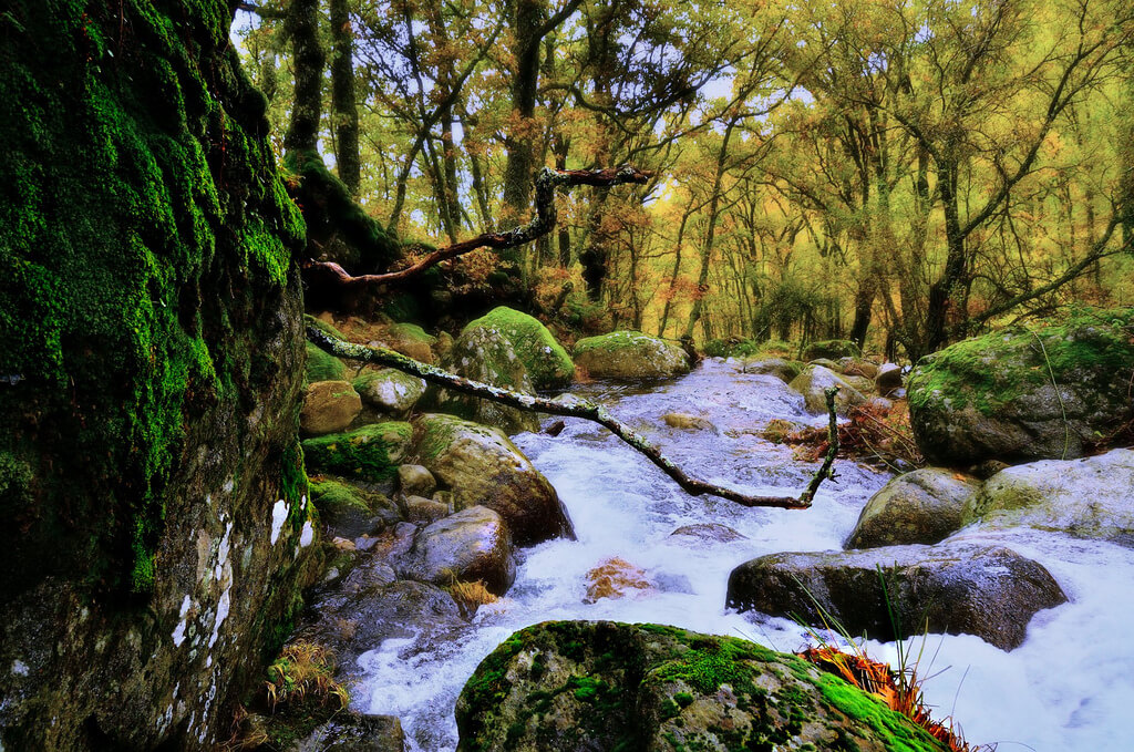 Paisaje de otoño en el Jerte