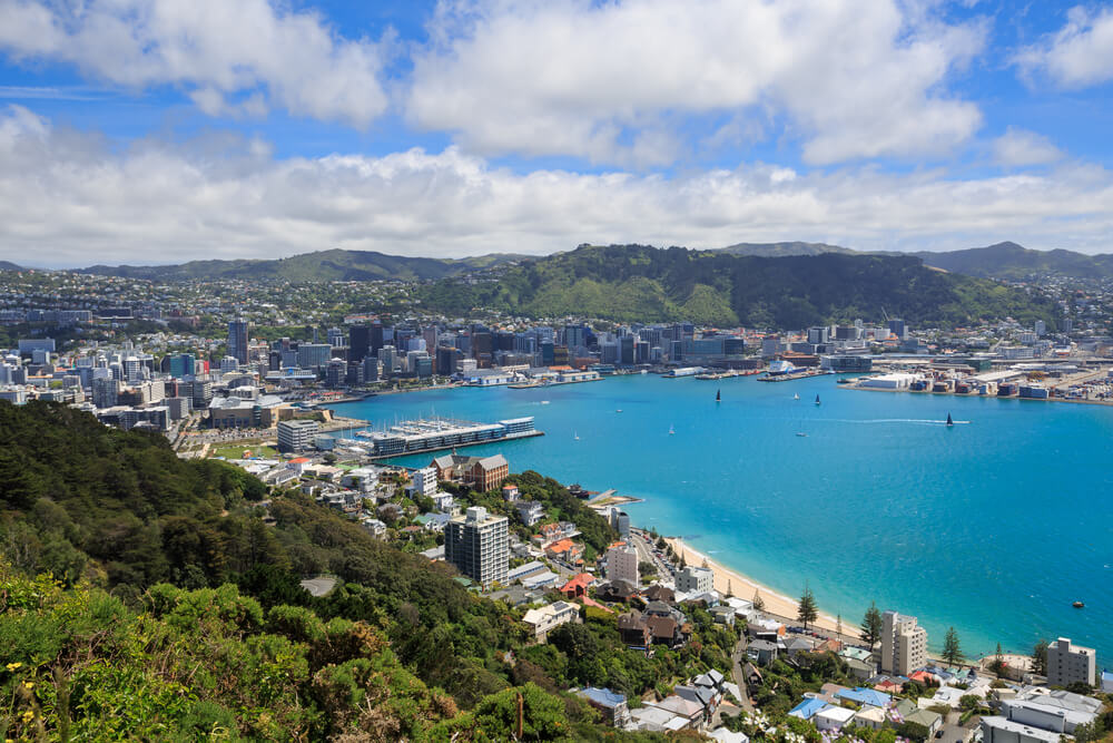 Vista de Wellington