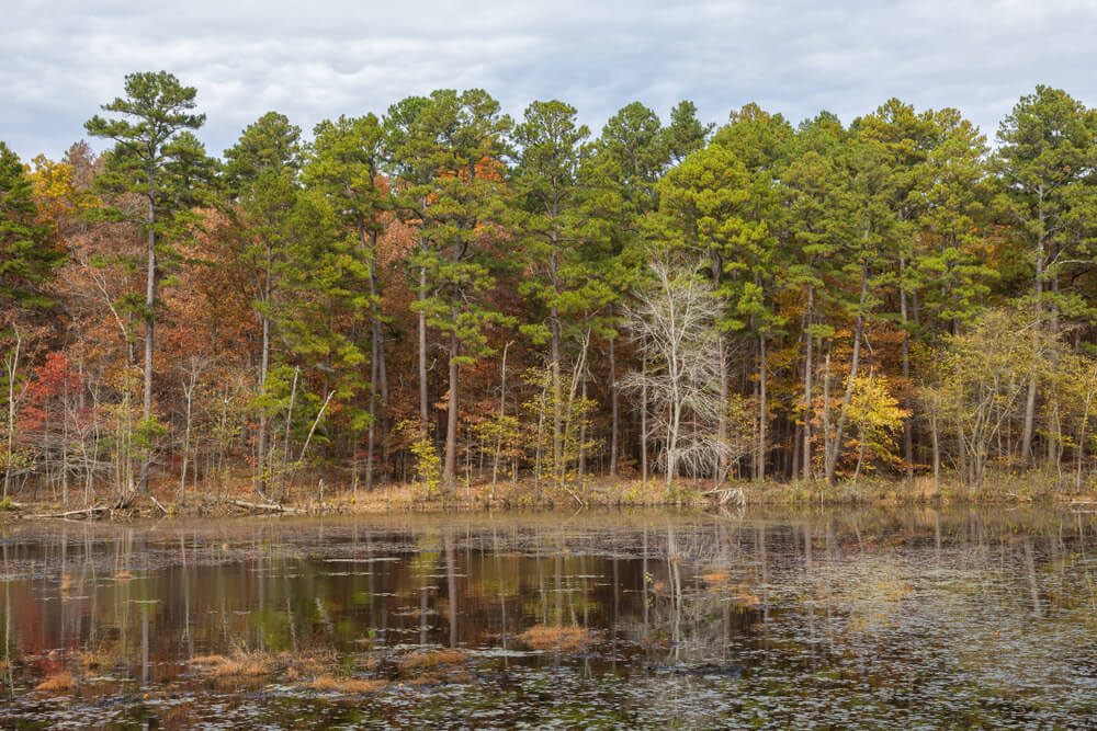 Vista del Mark Twain National Forest