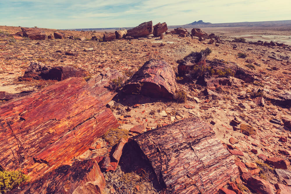 Vista del Bosque Petrificado Sarmiento en Chubut