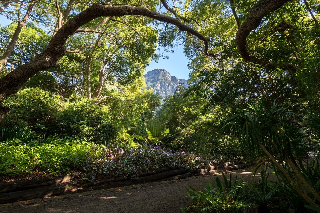 Jardín Botánico de Kirstenbosch