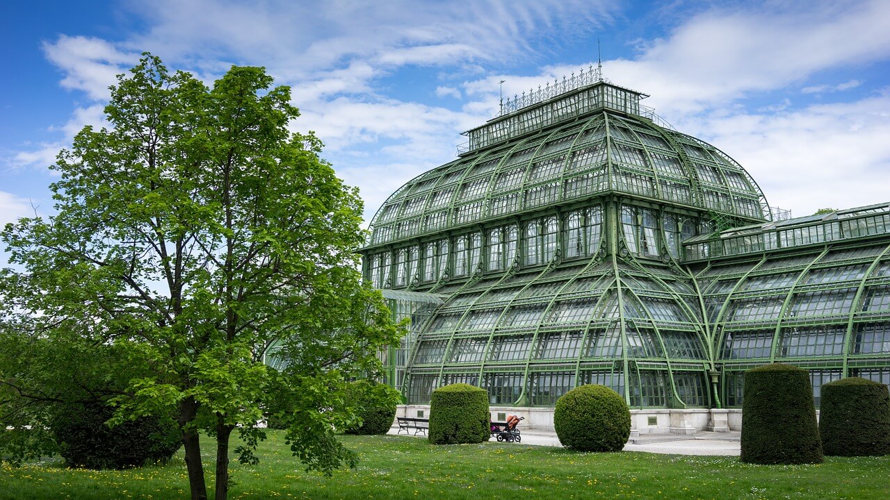 Casa de las Palmeras en el palacio de Schonbrunn