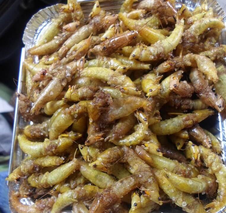 Plato de senene, un tipo de gusano