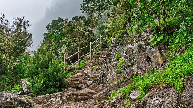 Interior del Parque Nacional de Garajonay