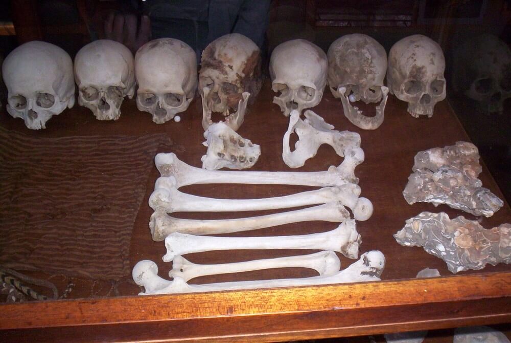 Restos óseos en el Museo Antonini