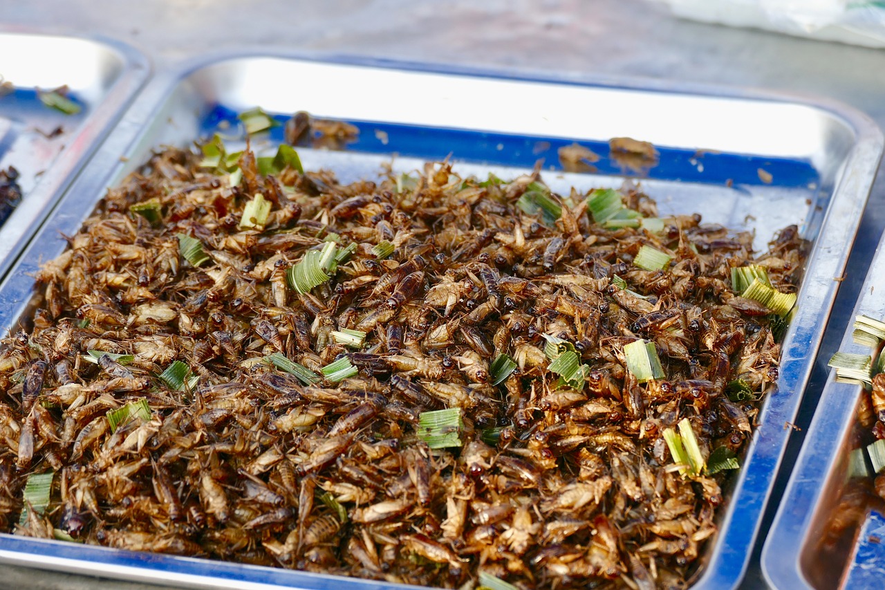 Insectos en un restaurante de Tailandia