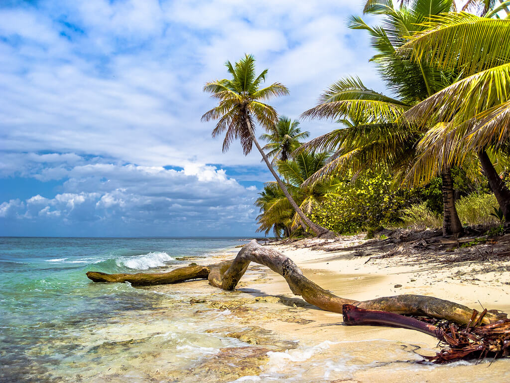 Paisaje de isla Saona