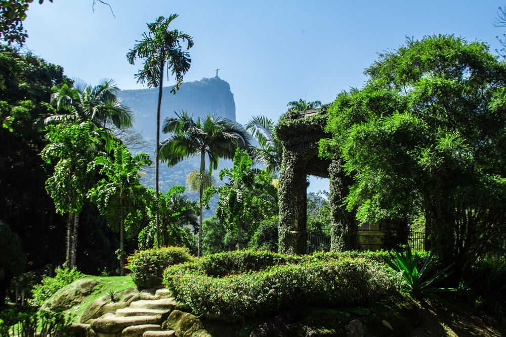 Jardín Botánico de Río de Janeiro