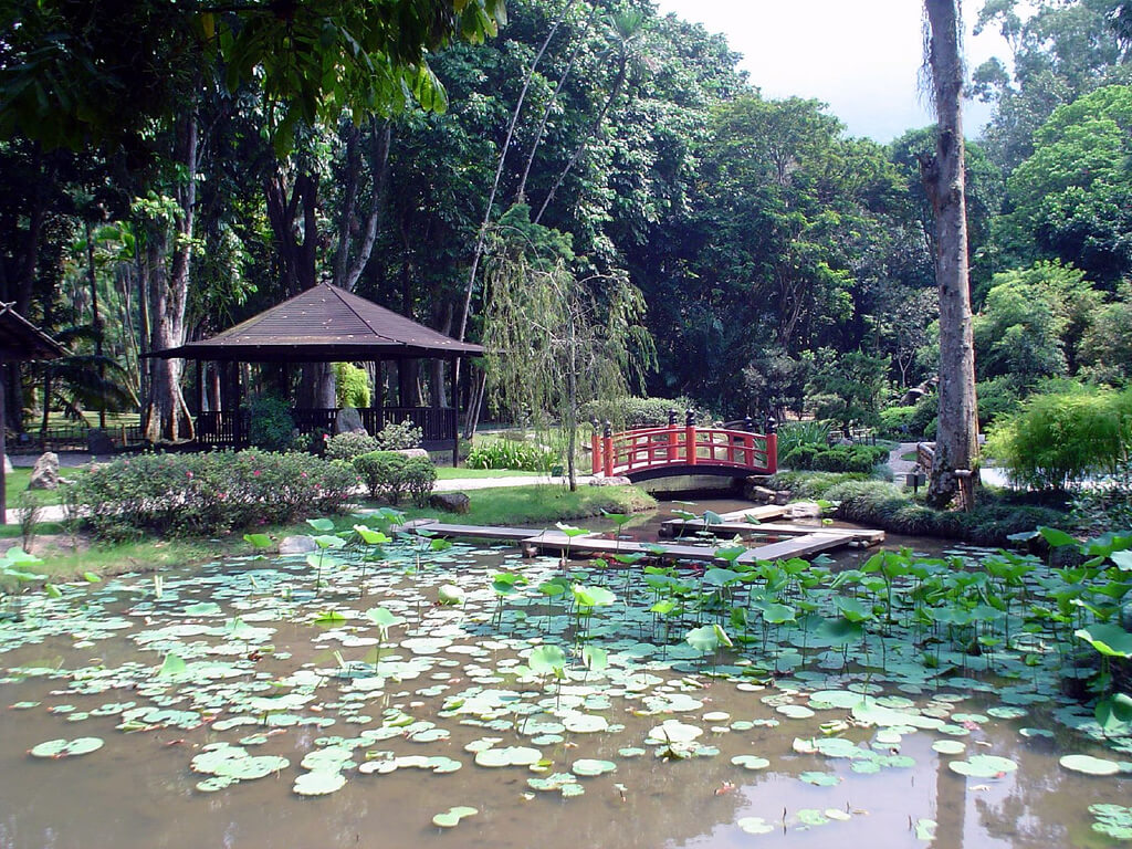 Jardín japonés en el Jardín Botánico de Río de Janeiro