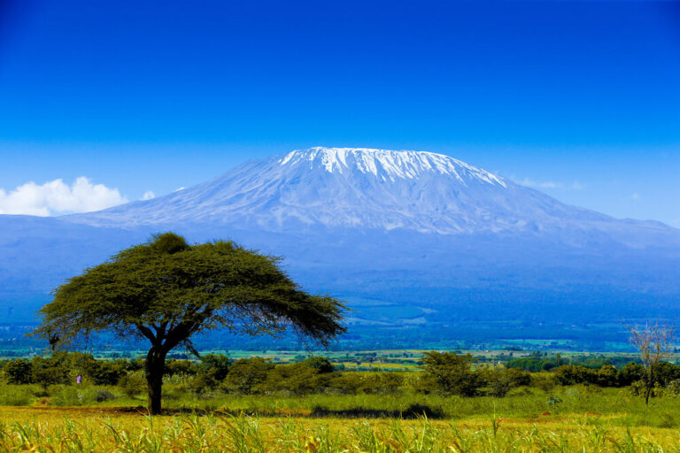 Datos y consejos sobre la escalada al monte Kilimanjaro