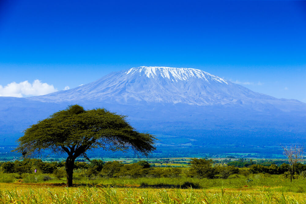 Vista del monte Kilimanjaro, uno de los volcanes más interesantes