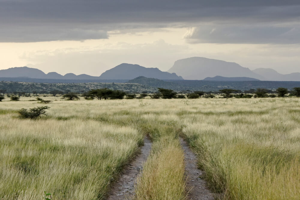 Vista del monte Ololokve en Samburu