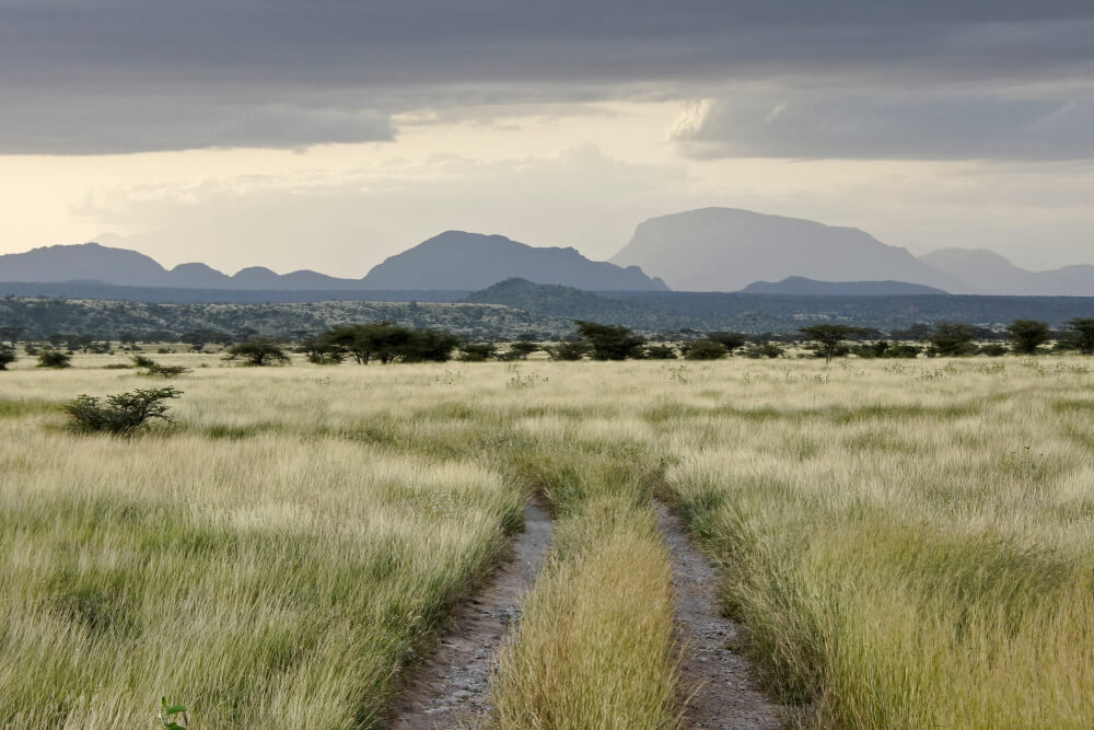 Vista del monte Ololokve en Samburu