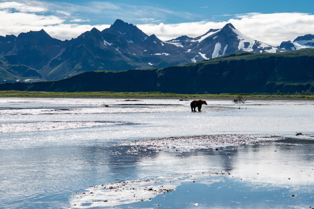 Visita el Parque Nacional Katmai en Alaska