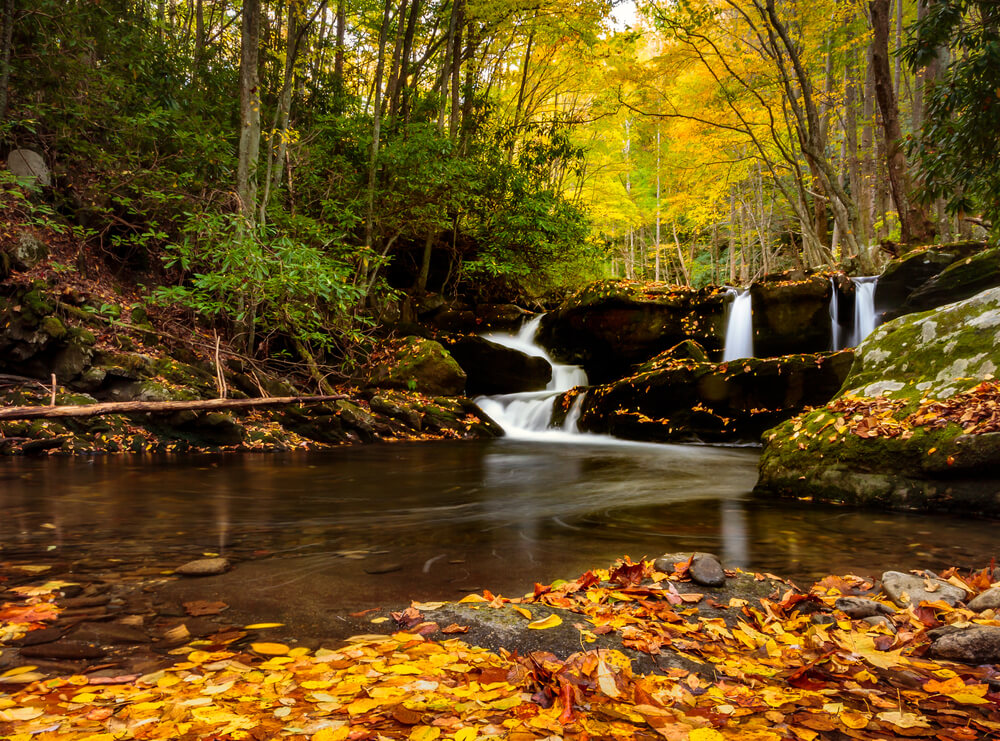 Paisajes en las Great Smoky Mountains