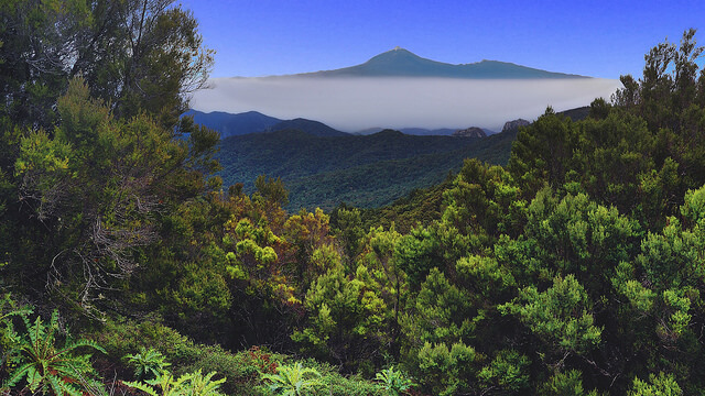 Vista del Parque Nacional de Garajonay