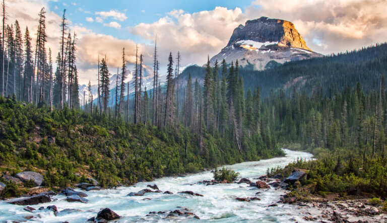 Descubre la belleza del Parque Nacional Yoho en Canadá