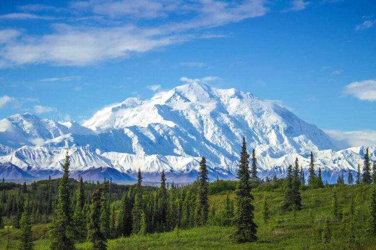 El Parque Nacional Denali Un Espacio Incre ble En Alaska Mi Viaje el-parque-nacional-denali-un-espacio-incre-ble-en-alaska-mi-viaje
