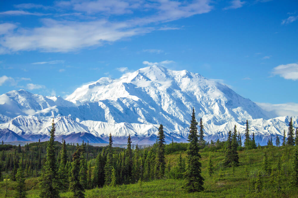 Vista del pico Denali