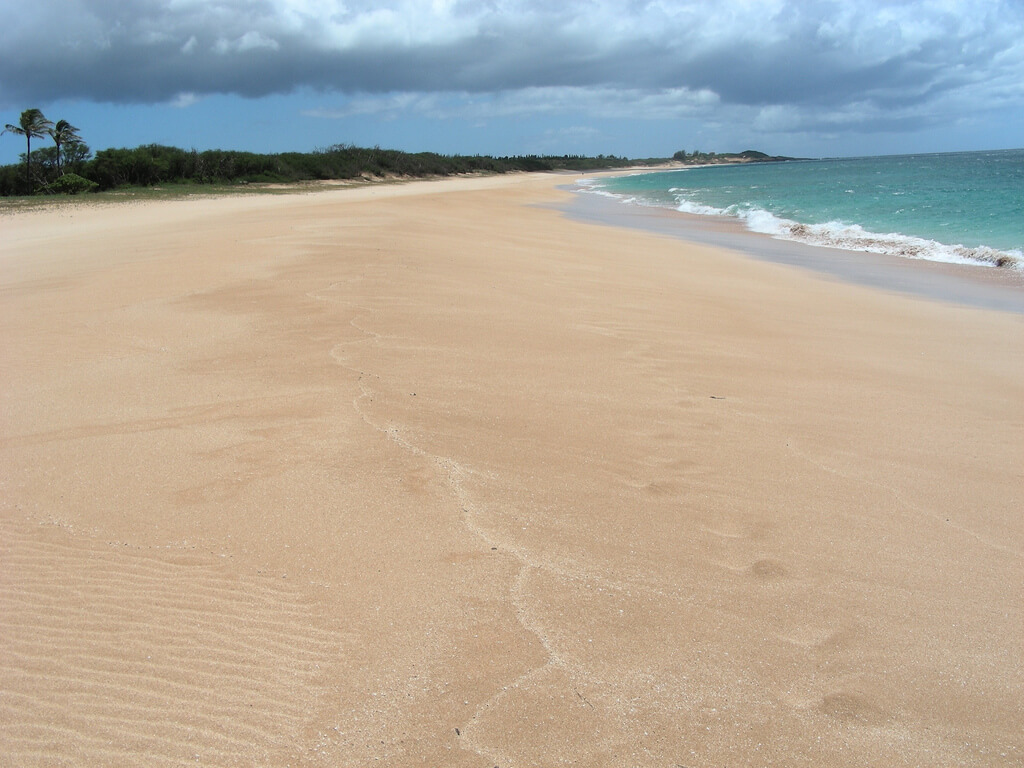 Playa de Papohaku