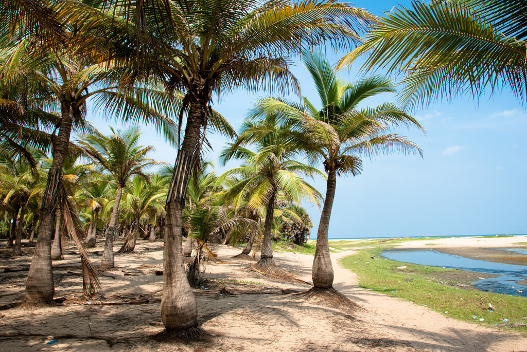 Playa en Pondicherry