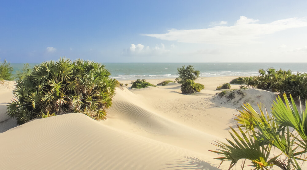 Playa de Shela en la isla de Lamu