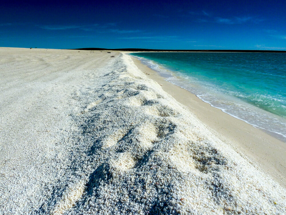 Shell Beach: una playa cubierta de conchas en Australia