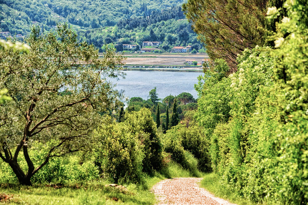 Vista de la Reserva Natural Strunjan